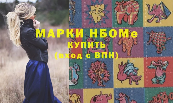 apvp Верея