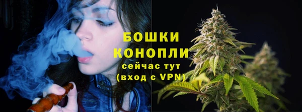 стафф Верхний Тагил