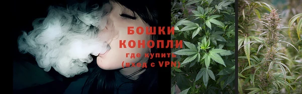 стафф Верхний Тагил