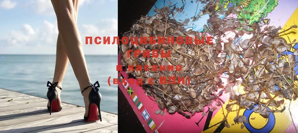 apvp Верея