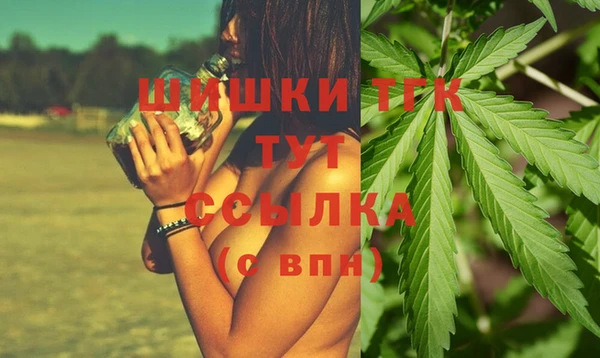 стафф Верхний Тагил
