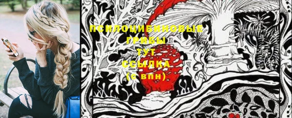 apvp Верея